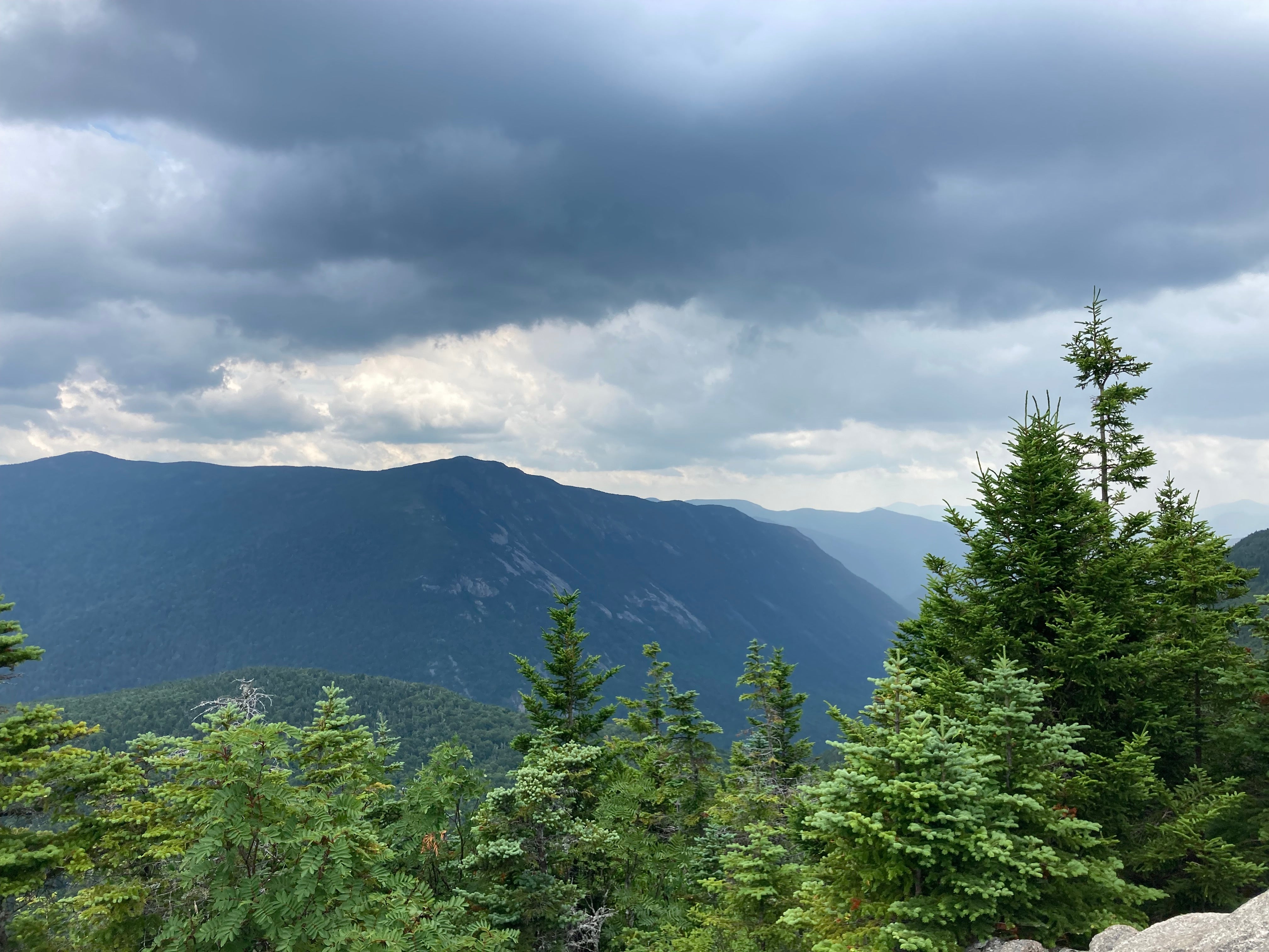 Trees and mountains in New Hampshire's White Mountains.